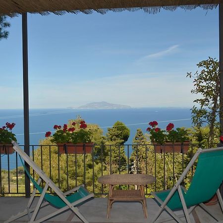 Le Ginestre Di Capri Bb & Holiday House Anacapri  Buitenkant foto