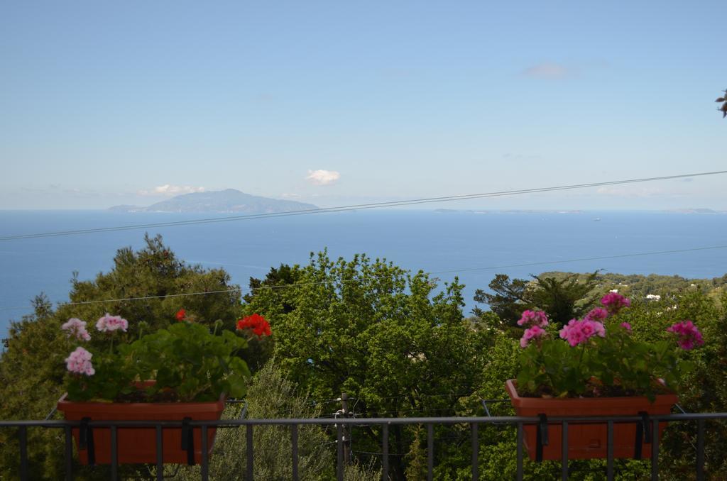Le Ginestre Di Capri Bb & Holiday House Anacapri  Buitenkant foto