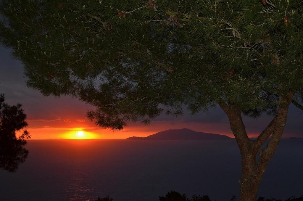 Le Ginestre Di Capri Bb & Holiday House Anacapri  Kamer foto