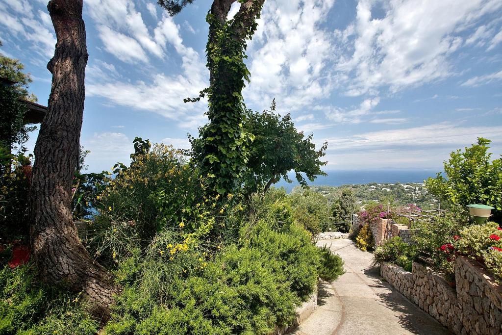 Le Ginestre Di Capri Bb & Holiday House Anacapri  Buitenkant foto